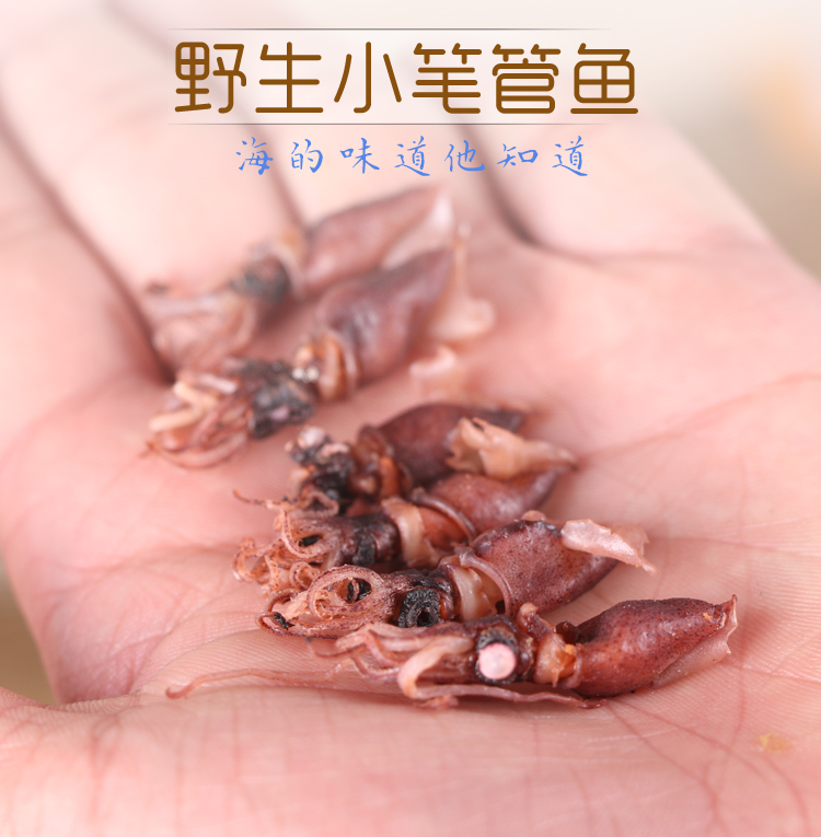 淡晒野生无沙小笔管鱼干海兔海鲜籽乌干籽乌贼墨鱼仔煲汤500克装