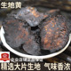 生地河南焦作生地黄 怀生地500克18元 生地黄 生地