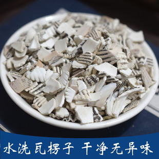 瓦楞子 水洗瓦楞子 瓦愣子