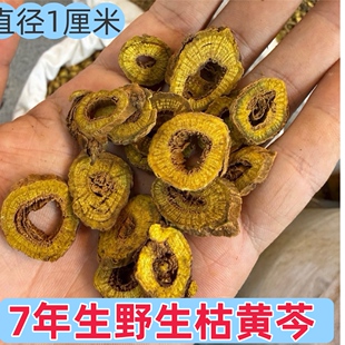 正品野生枯黄芩 7年生 直径1厘米以上内蒙海拉尔野生