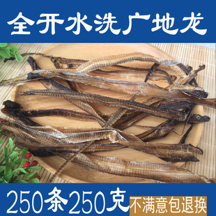全开地龙干 广地龙  水洗广地龙250克70