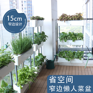 15cm宽阳台种菜盆蔬菜种植专用箱室内种菜草莓窄长方形懒人花盆