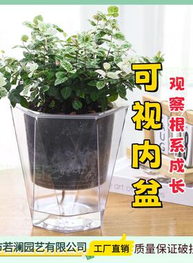 欧林泽透明塑料花盆加厚耐用菱形懒人专用绿萝盆自动吸水储水盆