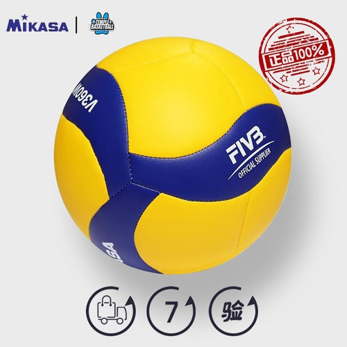 米卡塞排球训练中考业余