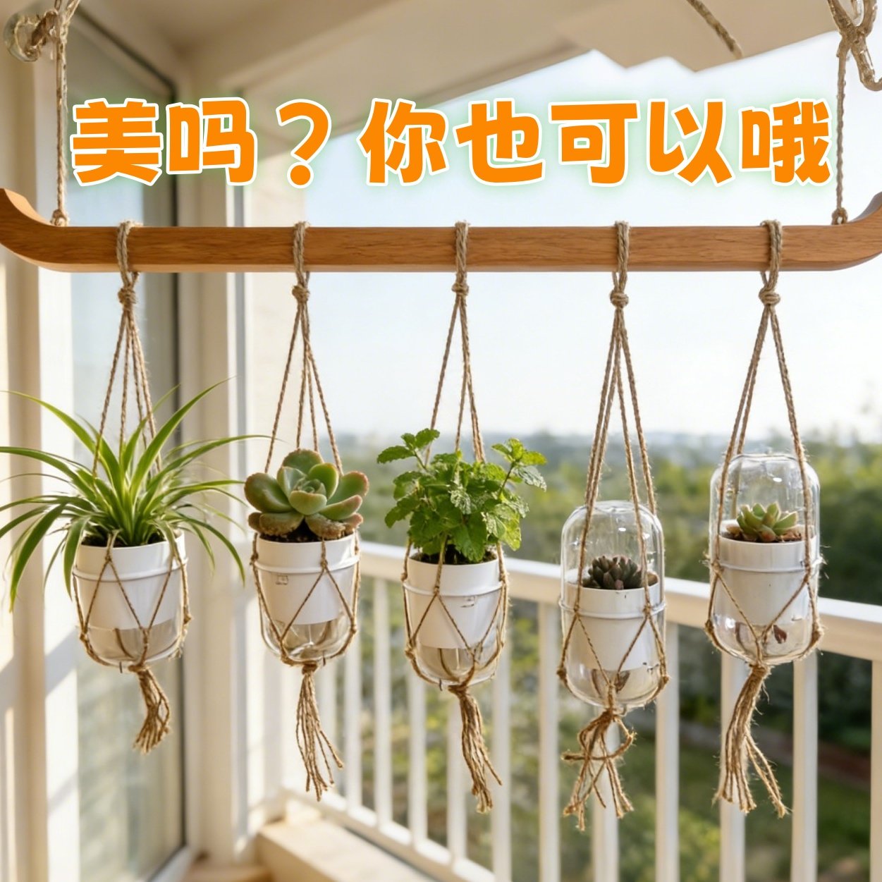 透明罩 玉露闷养 食虫植物  保湿 储水自吸懒人 多肉透气控根花盆,鲜花速递/花卉仿真/绿植园艺,花盆,淘宝优惠券,粉丝福利购,淘宝优惠卷