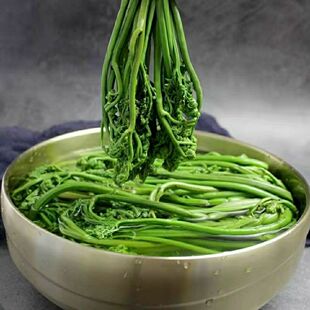 蕨菜野山菜东北特产水蕨菜焯水山野菜水蕨菜含水袋装