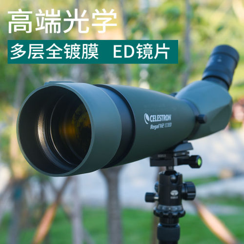 星特朗锐高20-60x80ED高端单筒望远镜变倍高清防水观鸟镜100