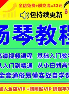 扬琴教学视频教程零基础初学者自学入门到精通学扬琴视频教学课程