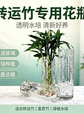 大号落地花瓶客厅加厚玻璃家用