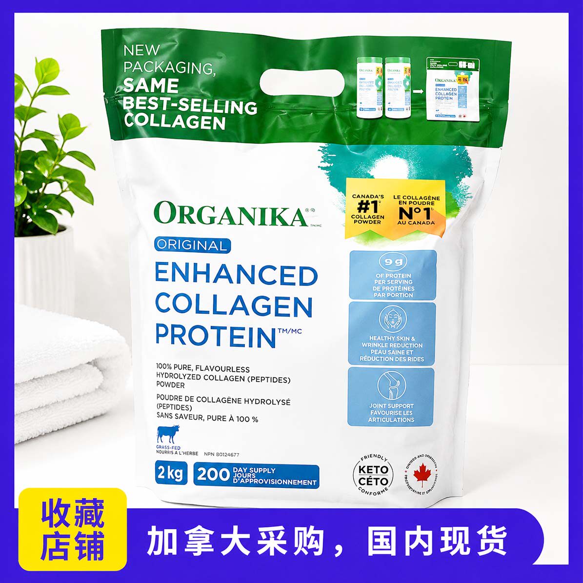 现货加拿大Organika型天然水解胶原蛋白粉 进口胶原蛋白粉2KG
