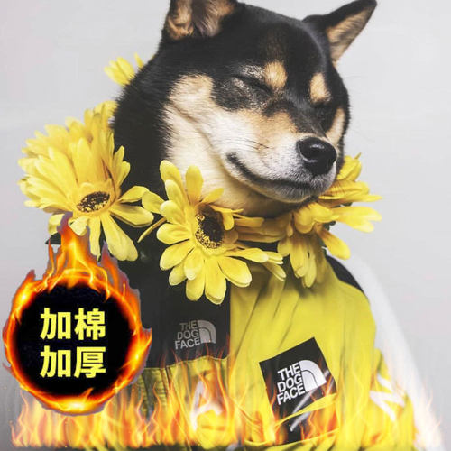 狗面防水防风dog face夹棉大型犬雨衣狗狗衣服冲锋衣加厚棉