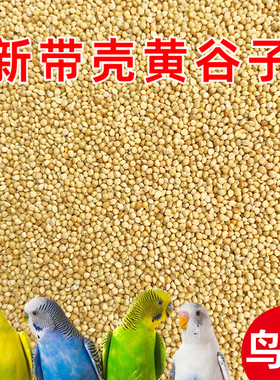 新黄谷子带壳小米虎皮牡丹玄凤中小型鹦鹉文鸟鸟粮鸟食鸟饲料粮食