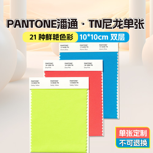 现货PANTONE潘通色卡TN色卡单页国际标准尼龙色卡选择色号单张买 - 封面