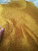 青海油菜杂粉2025新养蜂喂蜂蜂用花粉 天然花粉蜜蜂饲料花粉颗粒