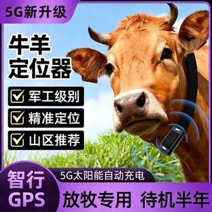 牛羊定位器山区放牧专用gps北斗卫星追踪神器动物防丢追跟马定仪