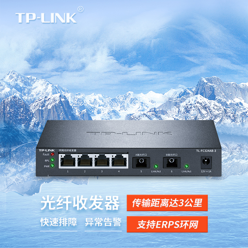 TP-LINK（1个A端，1个B端）