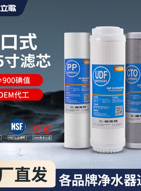 LIGE立歌牌净水器滤芯9.5寸PP棉UDF椰壳活性炭CTO椰壳压缩活性碳