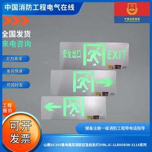 山鹰DC36V集电集控消防疏散标志灯SYBLJC 311X系列 1LRXOEIW