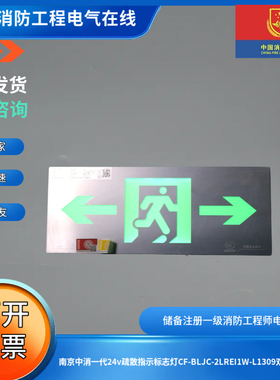 南京中消一代24v疏散指示标志灯CF-BLJC-2LREI1W-L1309双面双向