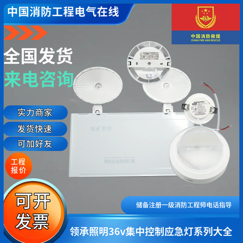 领承照明36v智能集中控制应急灯