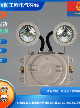 东君DC36VJ集电集控防爆双头灯具DJ-ZM-ACJ-021防爆双头灯