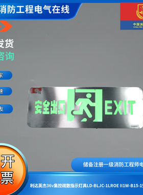 利达英杰36v集控疏散指示灯具LD-BLJC-1LROE II1W-B15-1安全出口