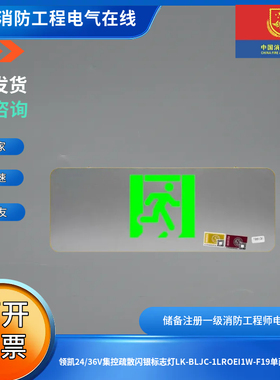 领凯24/36V集控疏散闪银标志灯LK-BLJC-1LROEI1W-F19单面疏散出口