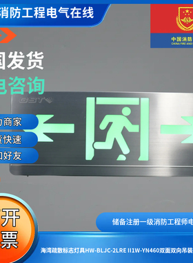 海湾疏散标志灯具HW-BLJC-2LRE II1W-YN460双面双向吊装2线36V