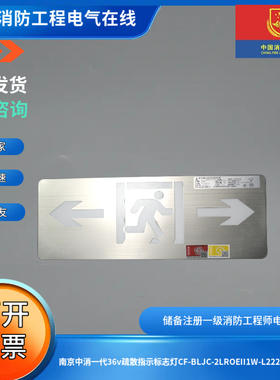 南京中消二代36v疏散指示标志灯CF-BLJC-2LROEII1W-L2222双面双向