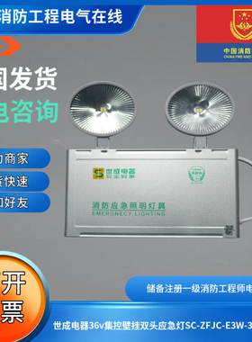 世成电器2线DC36v集中控制壁挂双头应急灯SC-ZFJC-E3W-302D/623