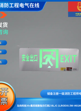 左向科技36v集控疏散指示灯具Z-BLJC-1LROEII0.5W-I401M安全出口