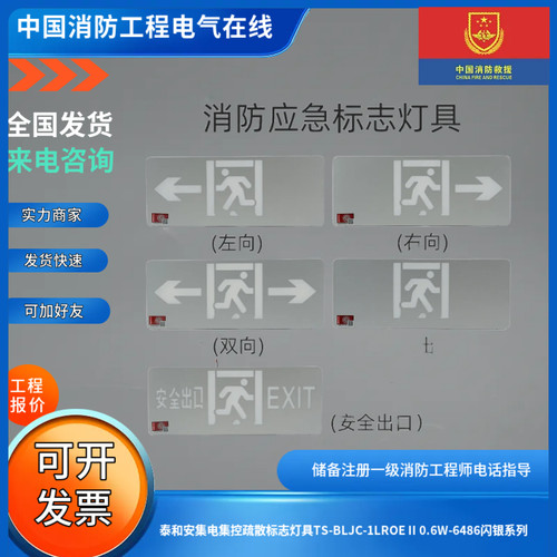泰和安集电集控疏散标志灯具TS-BLJC-1LROE II 0.6W-6486闪银系列
