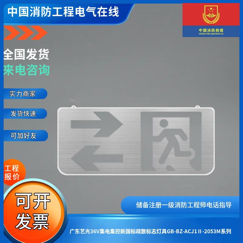 广东艺光36V集电集控新国标疏散标志灯具GB-BZ-ACJ1Ⅱ-2053M系列