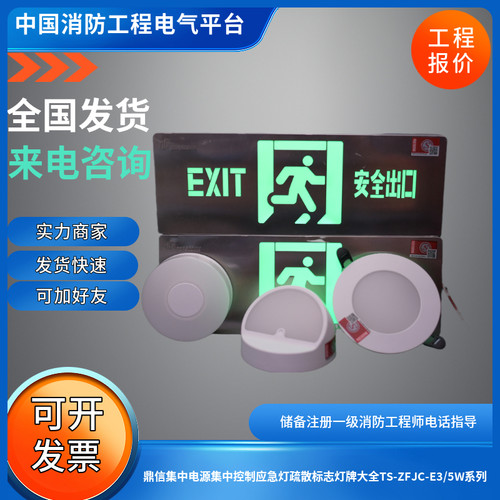 现货鼎信应急灯集中电源控制应急灯疏散标志灯TS-ZFJC-E3/5W系列