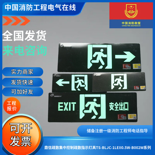 鼎信原厂正品集电集控疏散指示灯具TS-BLJC-1LEII0.5W-B002W系列