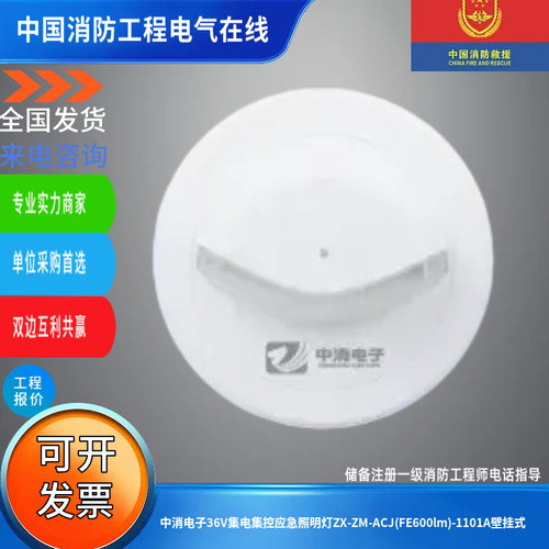 中消电子36V集电集控应急照明灯ZX-ZM-ACJ(FE600lm)-1101A壁挂式