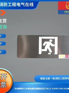 左向照明DC24V集电集控疏散标志灯Z-BLJC-1LROEⅡ2W-1413单面疏散