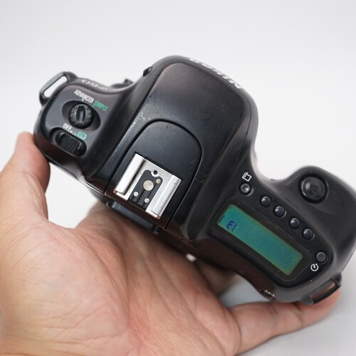 胶片相机Nikon尼康F50专业级AF机