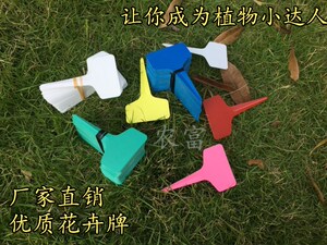 PVC塑料园艺防水标签T型花卉标签花卉标牌绿植多肉标签兰花标签
