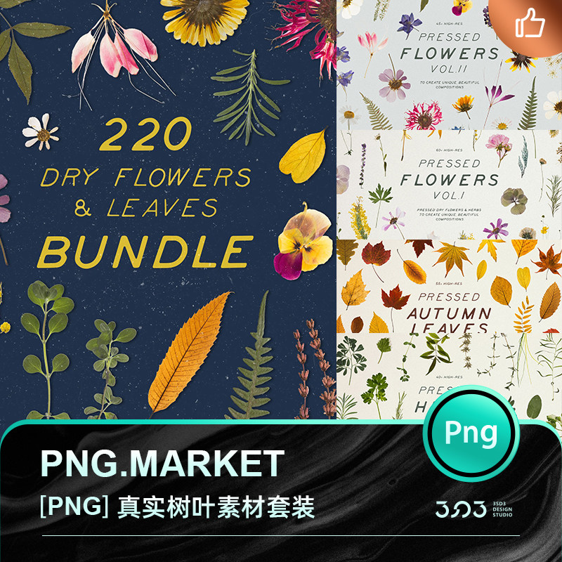 3SD3真实质感春夏秋冬四季树叶植物花卉花瓣干花免扣图片设计素材