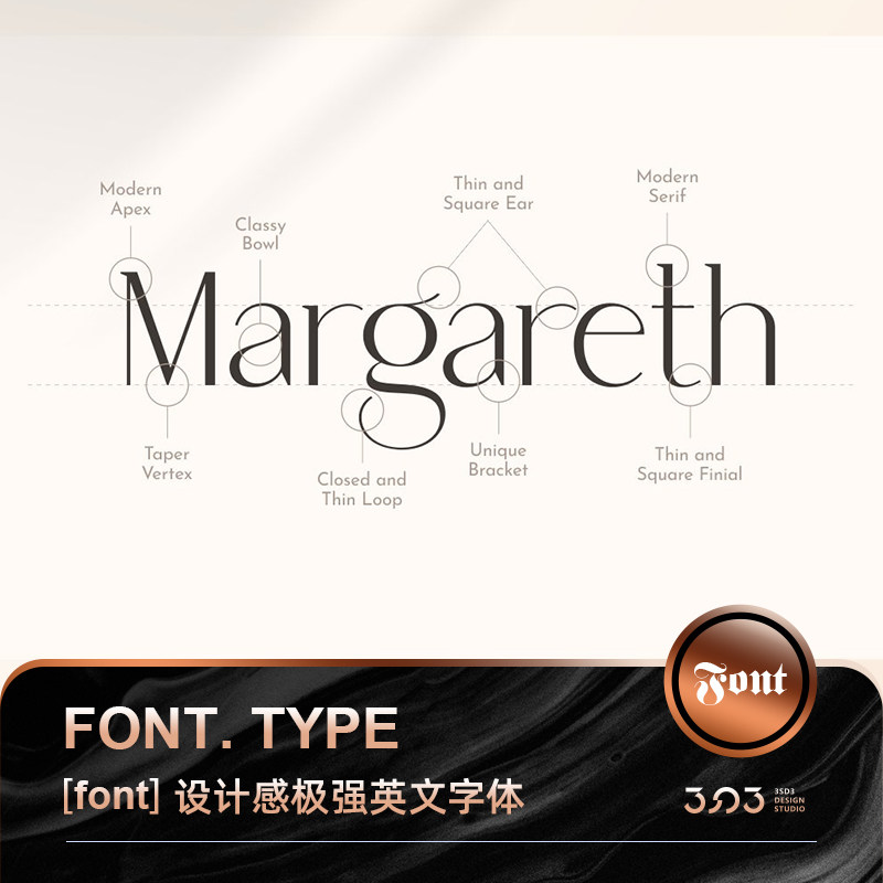 3sd3设计感极强高级logo设计美术风格衬线英文字体安装包ps素材