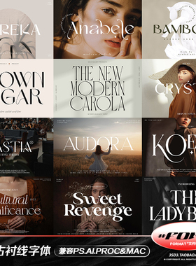 3SD3二十款复古罗马衬线英伦小清新杂志婚庆维多利亚PS英文字体包