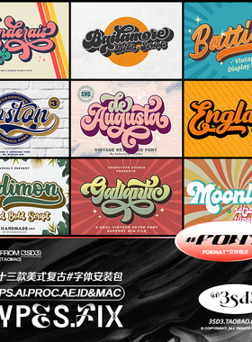 3SD3 十三款老美式复古潮流潮牌PROCREATE英文LOGO字体安装包合集