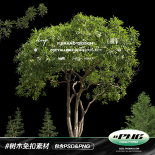 3SD3 各种真实质感树木树子大树果树植物免扣PNG装饰元素设计素材