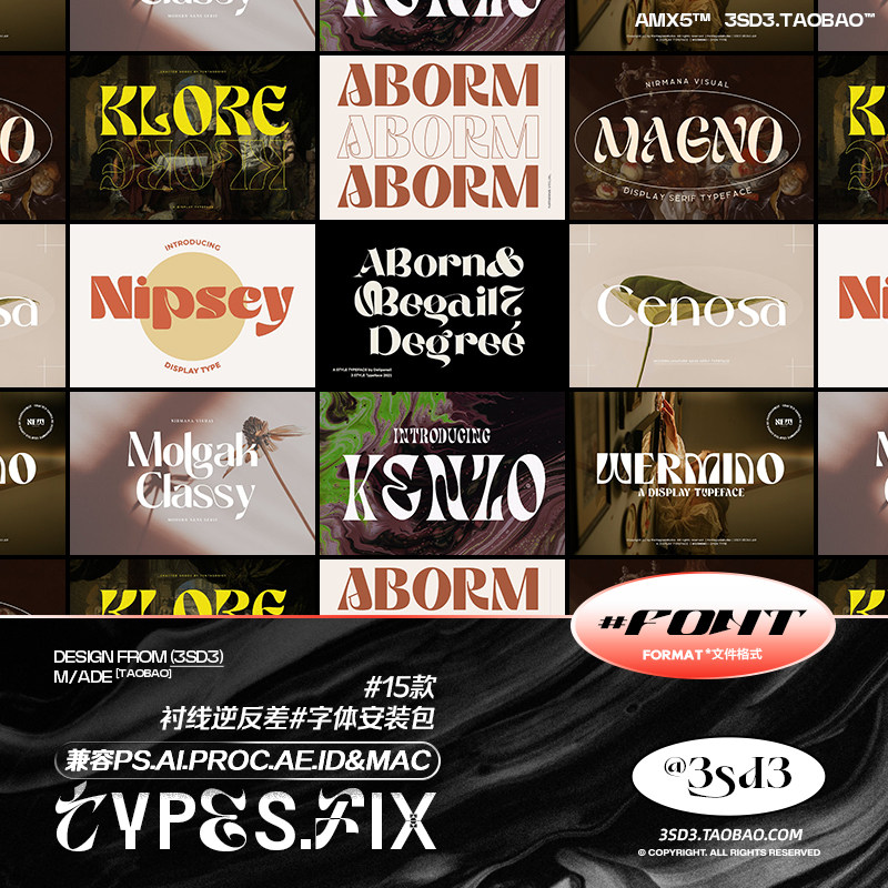 3SD3 高级标题古典衬线逆反差英伦LOGO复古PSPROCREATE字体包合集
