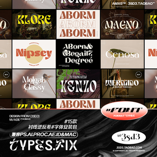3SD3 高级标题古典衬线逆反差英伦LOGO复古PSPROCREATE字体包合集