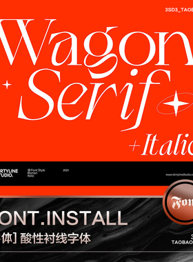 3SD3古典高贵典雅精致高级酸性风衬线PSAI英文字体安装包设计素材