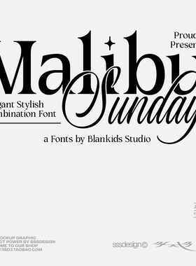 3SD3高级优雅时尚组合排版标题LOGO字体复古艺术感衬线花体安装包