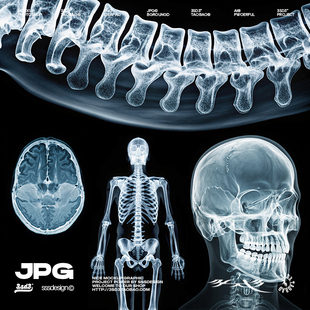 3SD3骨骼结构人体模型全身骨架成人骷髅X光CT扫描JPG图片设计素材