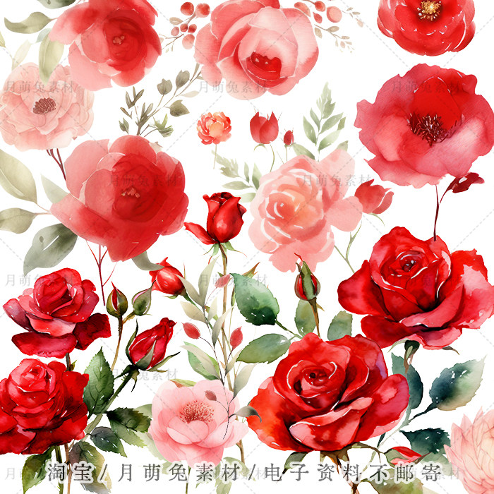 水彩唯美红色玫瑰花卉插画婚礼海报装饰剪贴画手账png设计素材